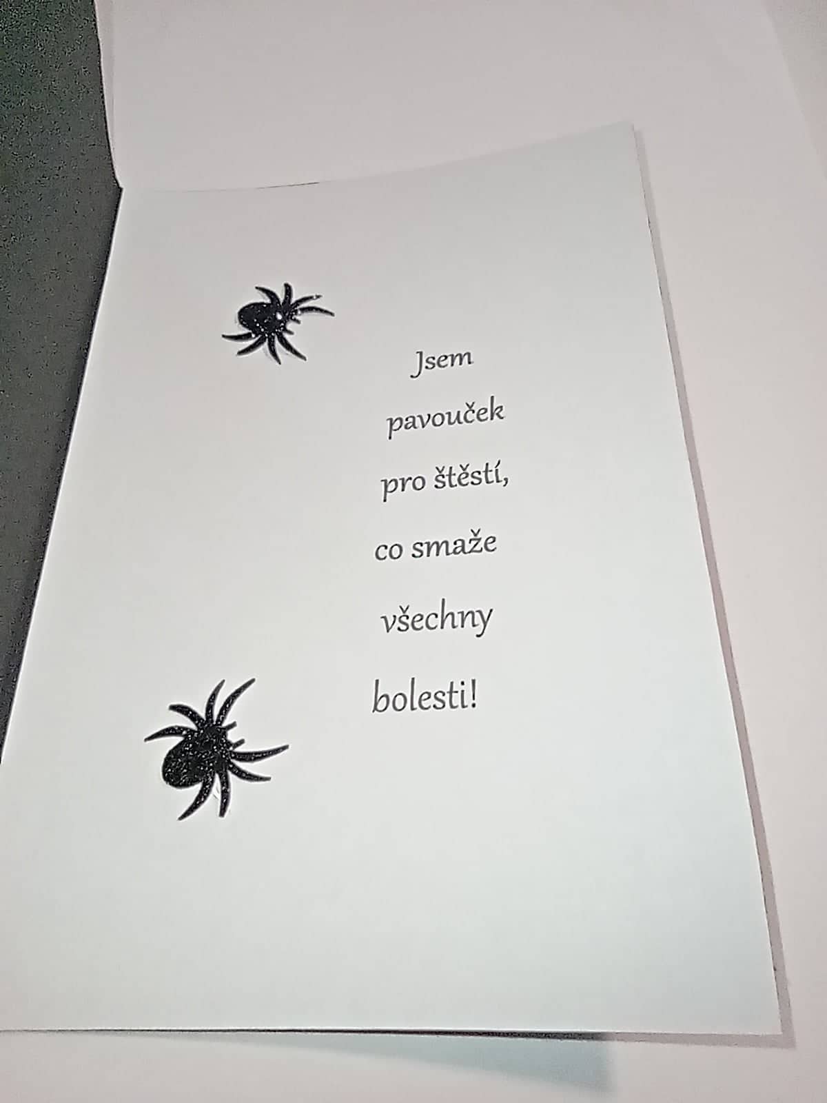 Přání - Pavouček pro štěstí